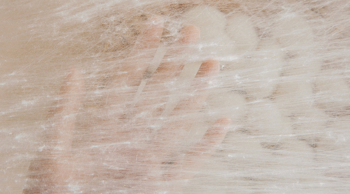 What makes our silk-filled duvet so special？