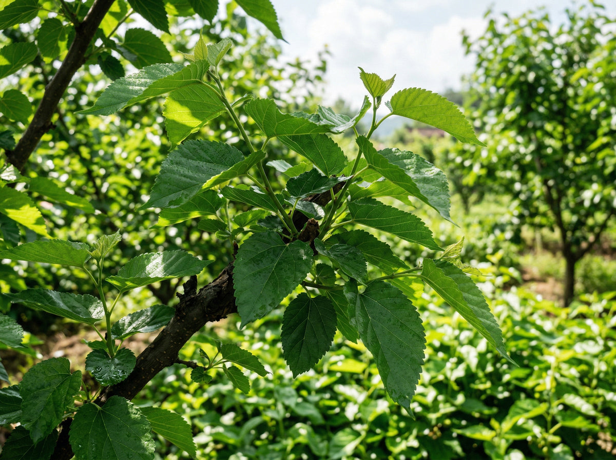 Our ethos and commitment to nature